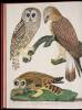 American Ornithology; or, The Natural History of the Birds of the United States - 7