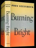 Burning Bright: A Play in Story Form