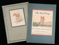 The Red Pony