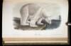 The Quadrupeds of North America - 4