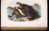 The Quadrupeds of North America - 5