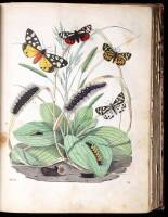 Das Buch der Welt 1853