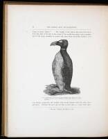 The Great Auk, Or Garefowl: Its History Archaeology, and Remains