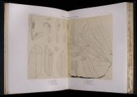 Contributions to American Geology. Vol. II. From the Memoirs of the Museum of Comparative Zoology