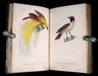 Histoire Naturelle des Oiseaux de Paradis et des Epimaques