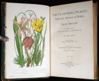 The Flowering Plants, Grasses, Sedges & Ferns of Great Britain and Their Allies the Club Mosses, Horsetails, &c.