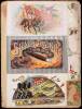 George Harris & Sons Cigar Box Label Scrapbook - 13