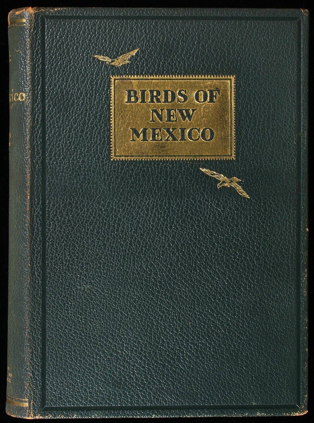 Birds of New Mexico