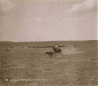 Lot of seven gelatin silver prints of ranching and cowboy activities