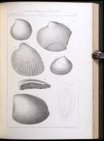 Geological Survey of California. Palaeontology.