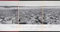 Panoramic San Francisco, from California Street Hill, 1877