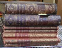 Picturesque America 1872: two sets of 2 volumes & 5 volumes; 7 vols. total