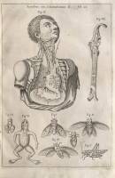 [Musurgia universalis, i.e.] Athanasii Kircheri fuldensis e Soc Iesu Presbyteri. Musurgia Universalis sive ars magna consoni et dissoni in X. libros digesta: Qua Vniuersa Sonorum doctrina, & Philosophia, musicaeque tam theoricae, quam practicae scientia, 
