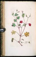 English Botany; or, Coloured Figures of British Plants, with their Essential Characters, Synonyms, and Places of Growth. To which will be added, Occasional Remarks