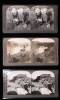 Lot of 57 Stereoview Cards - Alaska, Yosemite, Yellowstone, etc. - 3