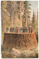 Beauties of California: Including Big Trees, Yosemite Valley, Geysers, lake Tahoe, Donner Lake, S.F. '49 & '83., Etc.