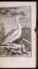 Histoire Naturelle des Oiseaux