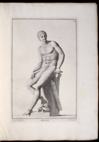 [Museo Fiorentino]