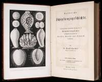 Natürliche Schöpfungsgeschichte. Gemeinverständliche wissenschaftliche Vorträge über die Entwicklungslehre im Allgemeinen und diejenigen von Darwin, Goethe und Lamarck im Besonderen