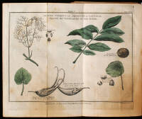 Botanical Harmony Delineated: or, Applications of Some General Laws of Nature to Plants