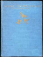 Where the Blue Begins
