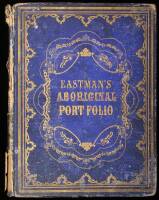 The American Aboriginal Portfolio