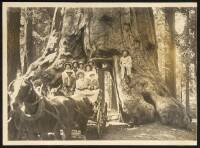 Photograph album of Yosemite and Lake County, California