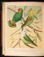 The Illustrated Book of Canaries and Cage-Birds, British and Foreign