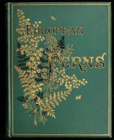 European Ferns: With Coloured Illustrations from Nature by D. Blair