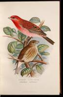 Foreign Finches in Captivity