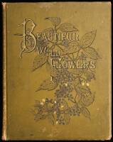Beautiful Wild Flowers of America