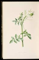 Familiar Wild Flowers, Series 1-5 (and) Familiar Garden Flowers, Series 1-5