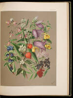 Wild Flowers of Switzerland; or, a Year amongst the Flowers of the Alps
