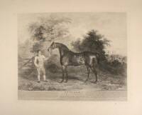 Portraits of Celebrated Racehorses of the Past and Present Centuries in Strictly Chronological Order, Commencing in 1702 and Ending in 1870 Together with Their Respective Pedigrees and Performances Recorded in Full