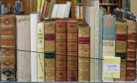 Lot of 14 Americana volumes