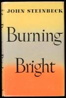 Burning Bright: A Play in Story Form