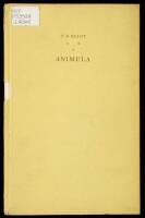 Animula
