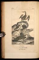 An History of the Earth, and Animated Nature