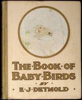 The Book of Baby Birds