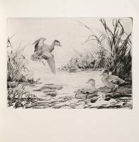 Art for Conservation: The Federal Duck Stamps