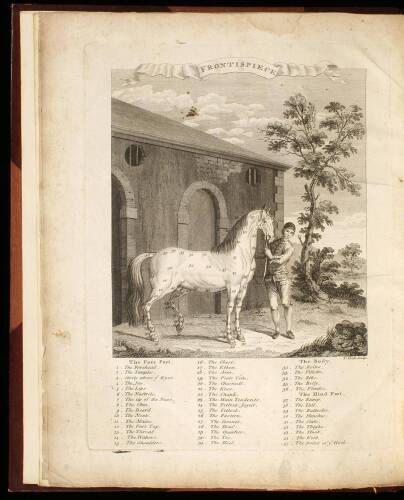 The Sportsman's Dictionary; or, the Country Gentleman's Companion: For Town and Country. Containing Full and Particular Instructions for Riding, Hunting, Fowling...Fishing, Racing...Collected from the Best Authors...