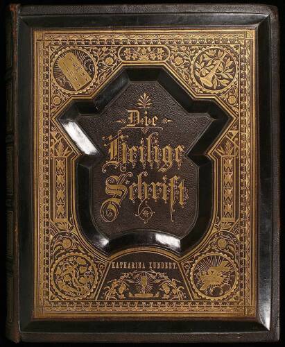 Die Bibel oder die Heilige Schrift des Alten und Neuen Testaments (Familien Bilder-Bibel)