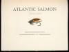 Atlantic Salmon - 2