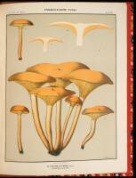 Annual Report of the State Botanist of the State of New York [&] Report of the State Botanist on Edible Fungi of New York, 1895-99.