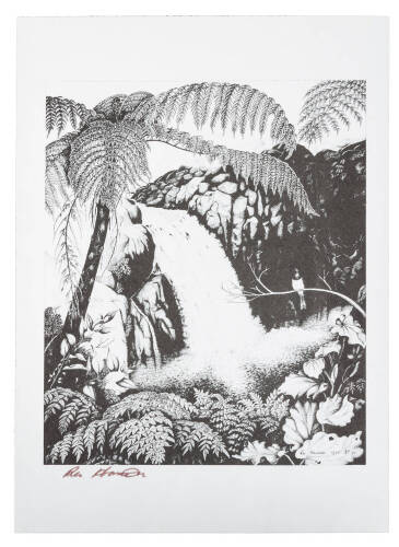 Rei Hamon: Artist of the New Zealand Bush - 2 volumes