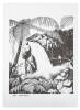 Rei Hamon: Artist of the New Zealand Bush - 2 volumes