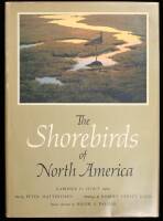 The Shorebirds of North America