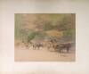 Japanese Photograph Album containing 50 hand-painted albumen photos - 5