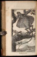 The Natural History of Oviparous Quadrupeds and Serpents