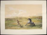 Catlin's North American Indian Portfolio